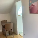 3 With Unique Cathedral View מו
